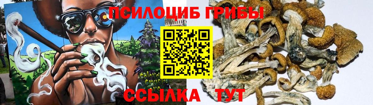 Уссурийск  Галлюциногенные грибы Psilocybine cubensis  Вход с VPN 